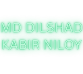 dilshad kabir niloy website